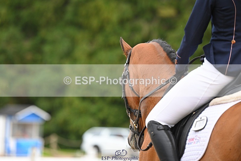 230813-132910-07579 - Cls 13 Medium Bronze 13.15 to End