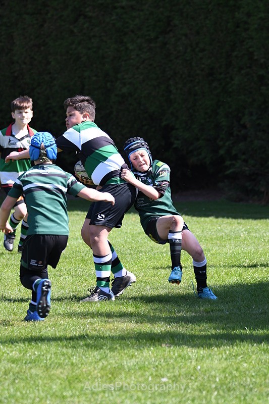  - Selby Rugby Festival 2025