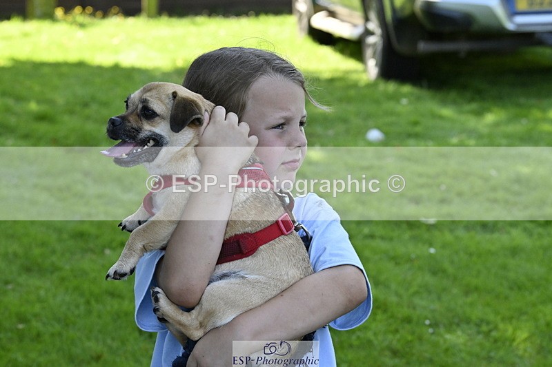 240728B-120533-00402 - Sunday Stable Shots and Fancy Dress