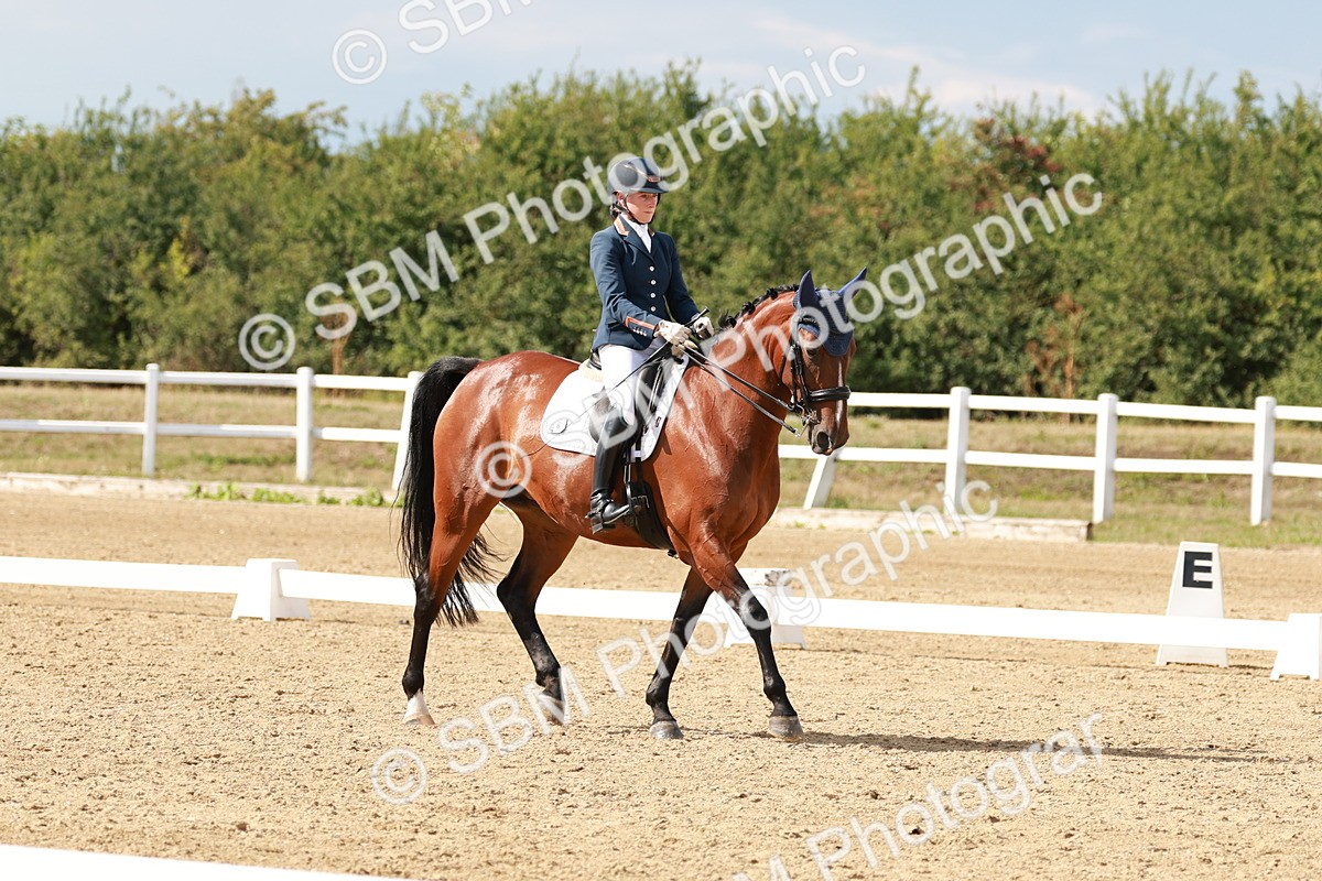 SBM_002490 - Class 11 - Medium 6