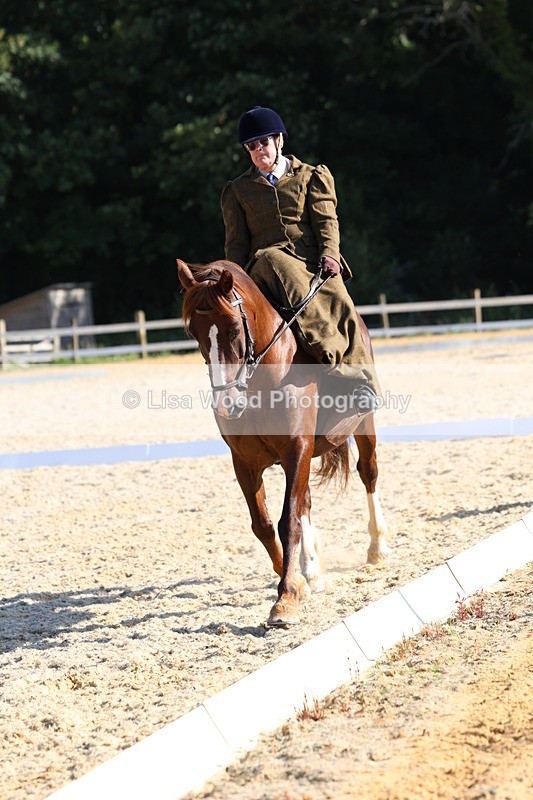 3E7A3449 - Class 2: Intro 1 2024 Section B