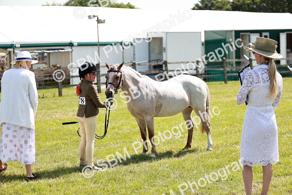 SBM_13636 - Class 108-109 - BSPS LIHS Open Gradle & Nursery Stakes