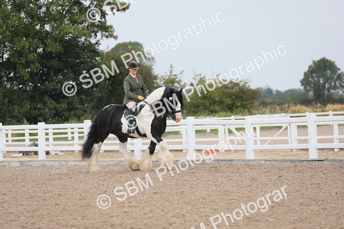SBM_12672 - Class 307 Ridden Coloured Pony