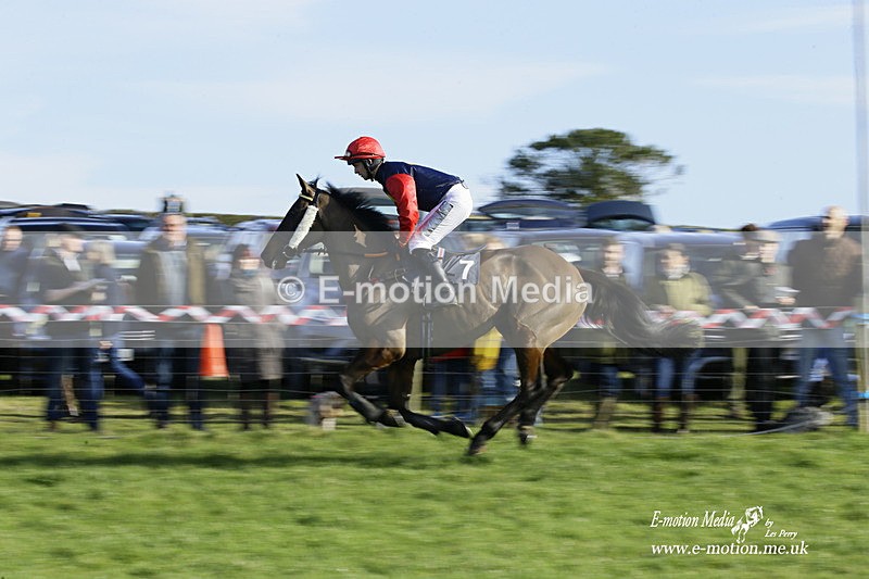 PtP 300122 196 - South Dorset Hunt - Point-to-Point Races 30/01/2022