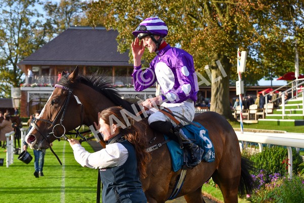 131023-Race 6-Wen Moon-9962 - Race 6 5.00pm Copper Knight - Winning Most Horse At York Handicap