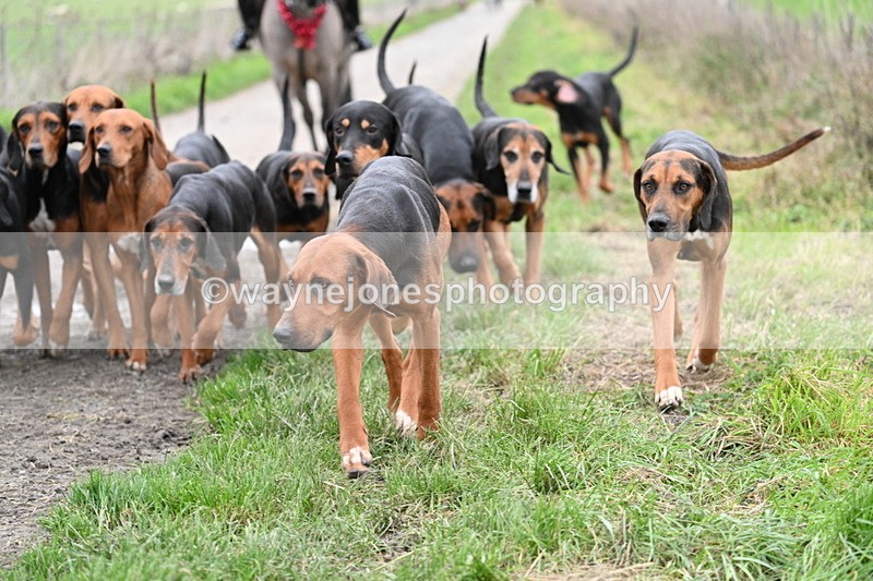 WJ7_1245 - Walk Home