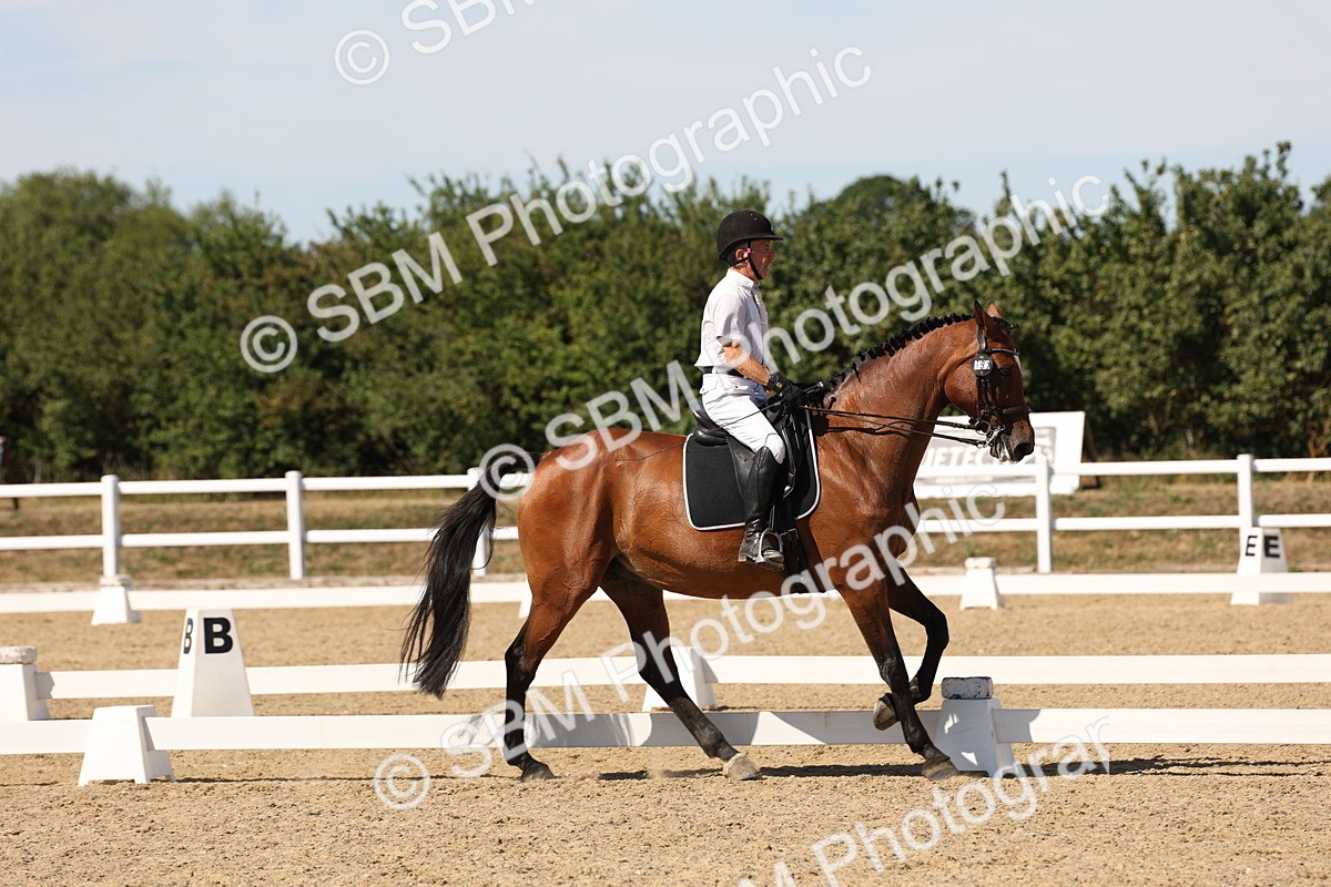 SBM_003748 - Elementary 4