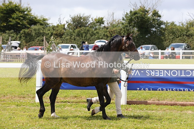 1X9A4712 - Class 35: Veteran In Hand