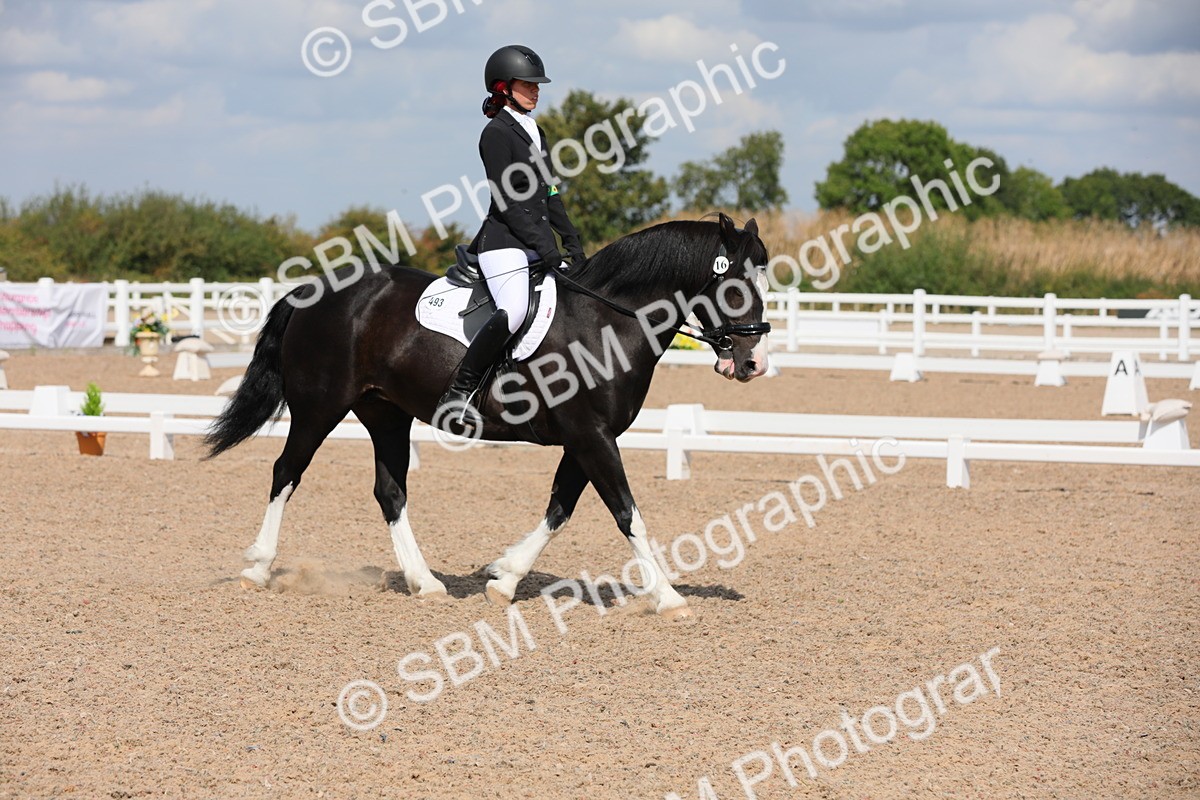 SBM_04172 - Class 31 Prelim 1