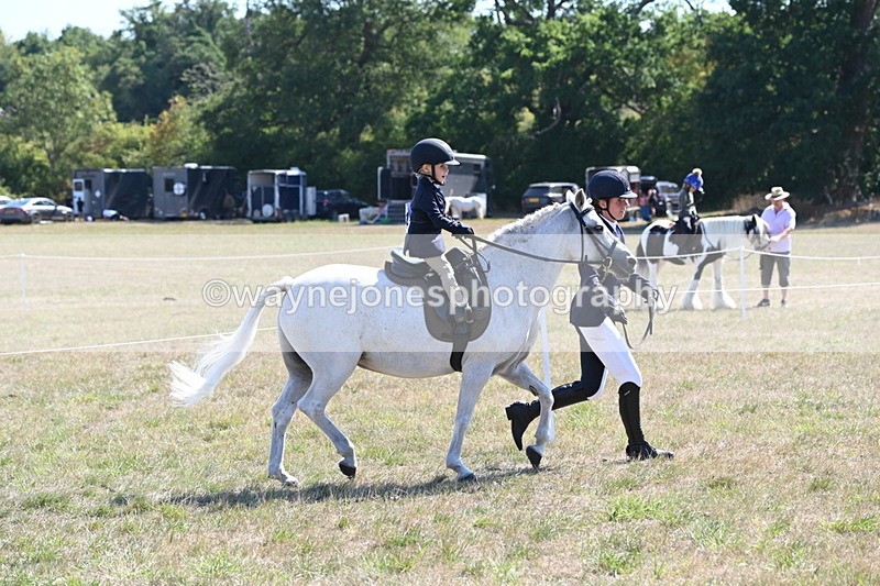WJ6_7770 - Class 36 Lead Rein