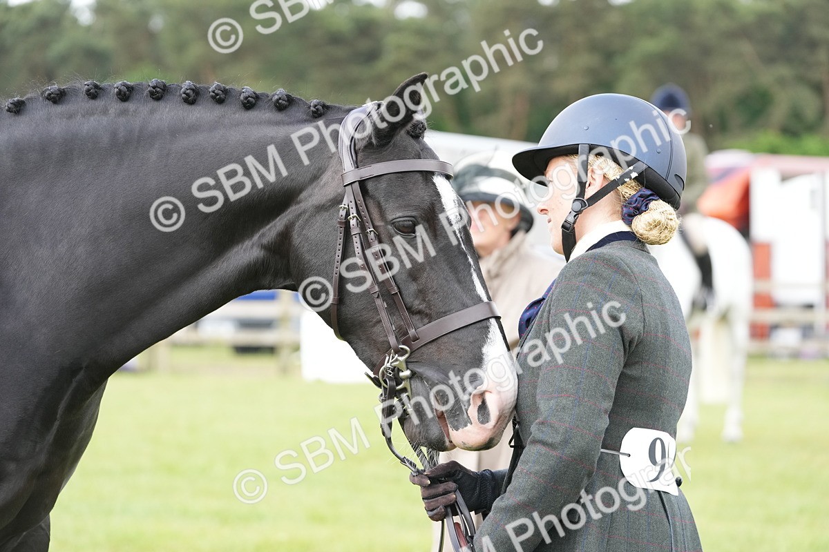 SBM_12765 - Class 97-98 - LIHS BSHA Rising Star Working Show Horse Hunter