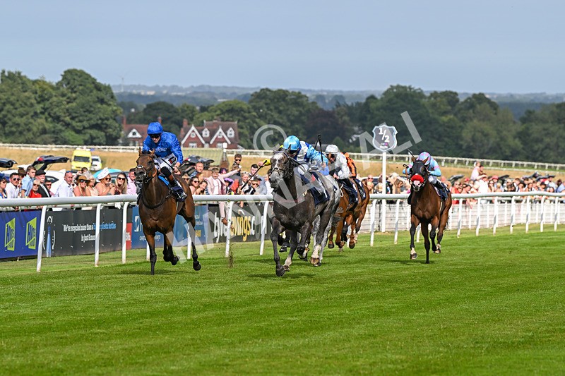 140824-Race 5-Havana Blue-6651 - Race 5