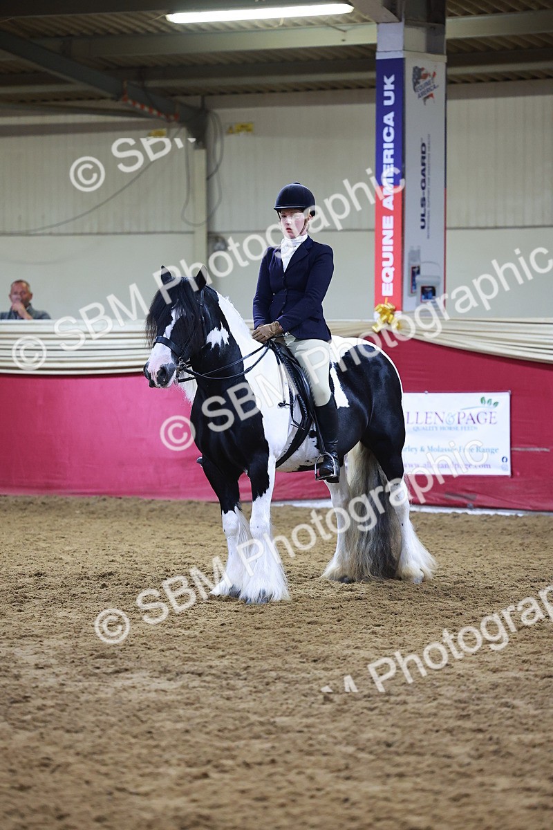 SBM_14966 - Class M - Equitation Champ