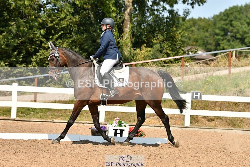 250817-134027-10030 - 033-Frankie.TorodeFirst.Impression.VI