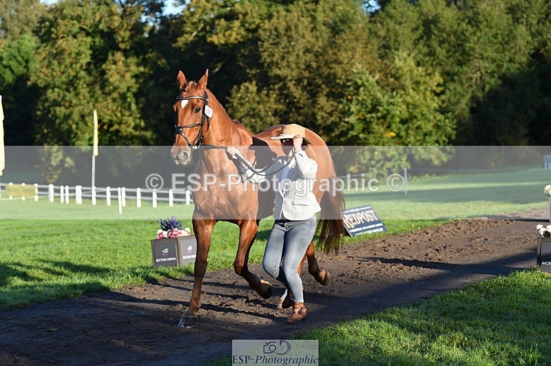 231022-090908-21591 - 656-DUNARD.RED.KNIGHT-Naomi.Watkins-TrotUp+SJ