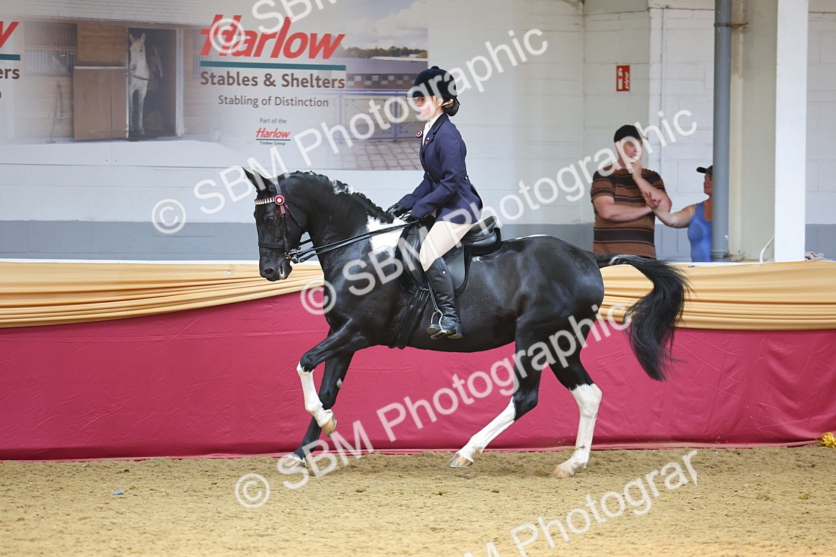 SBM_24607 - Class 906 - Supreme Final - Ridden Pre Vet