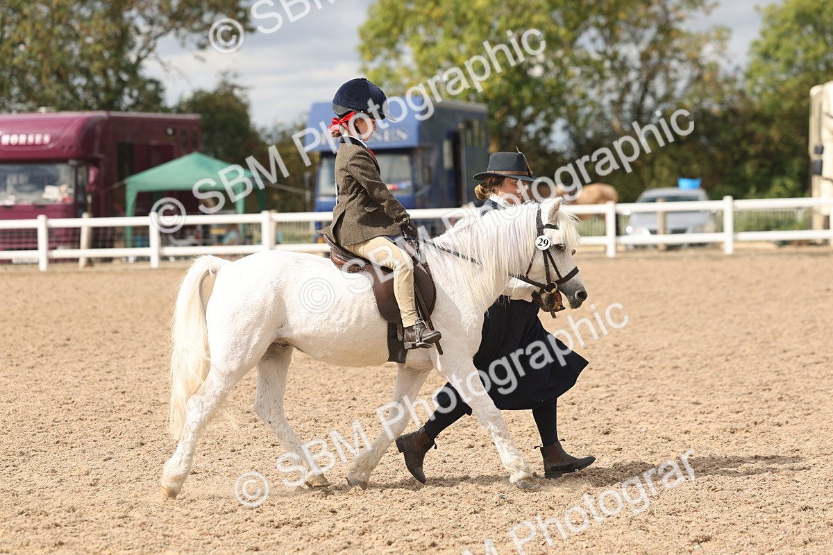 SBM_15772 - Class 309 - Lead Rein Pony