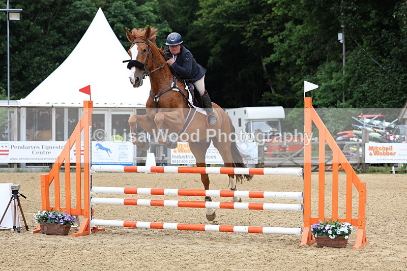 3E7A6142 - Class 4: Senior British Novice/90cm open