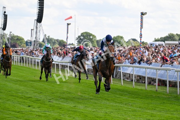 280625-Race 5-Turquino-0796 - Race 5 4.15pm Al Basti Equiworld Dubai Handicap