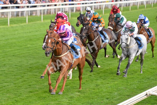 yr23072021r2-32 - Race 2 6.30pm IRE-Incentive It Pays To Buy Irish Stakes