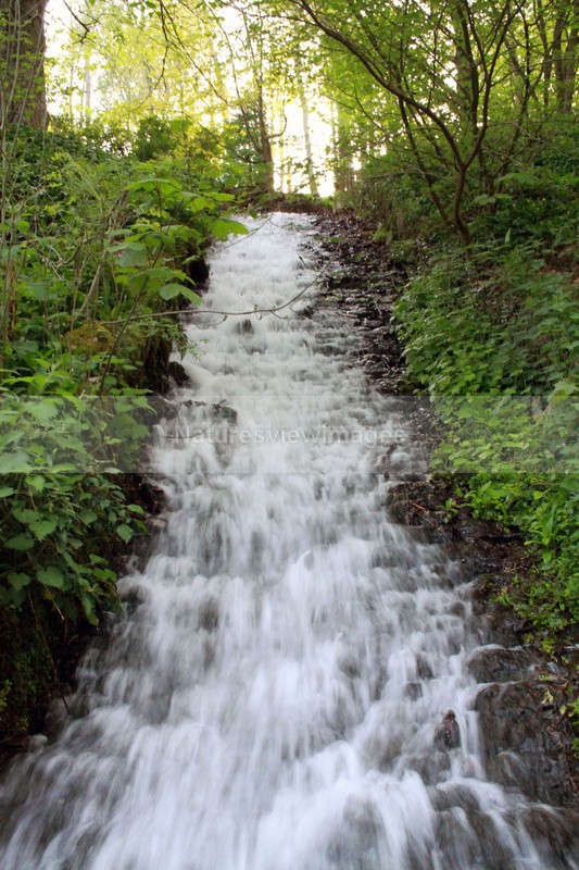 Shipton Falls - Landscape