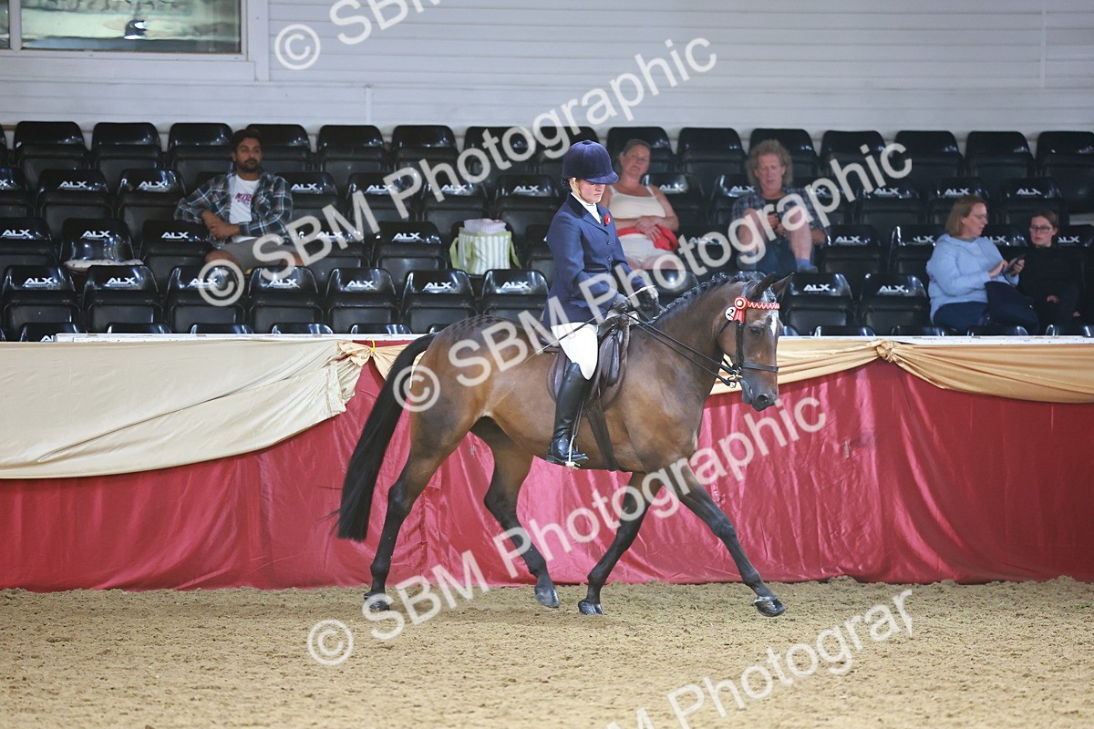SBM_23960 - Class 905 - Supreme Final - Ridden Veteran