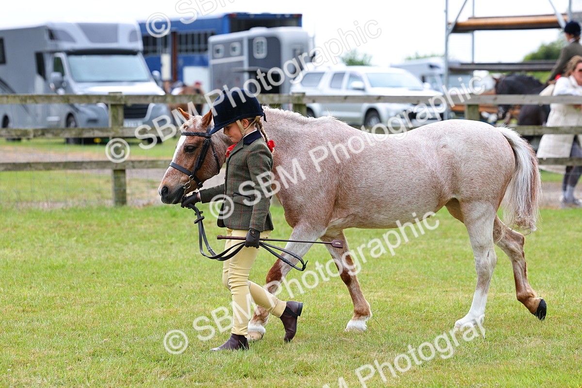 SBM_09437 - Class 44-45 - LIHS BSPS Open Nursery and Cradle Stakes