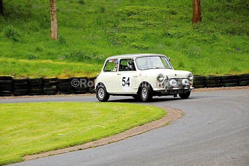 _56A1652 - MINI FESTIVAL 22ND May 2021