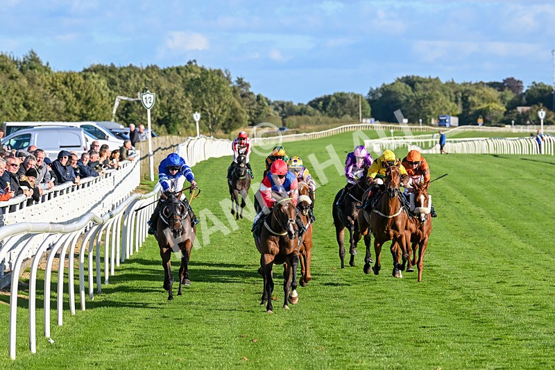 100924-Race 7-Desert Dream-0681 - Race 7