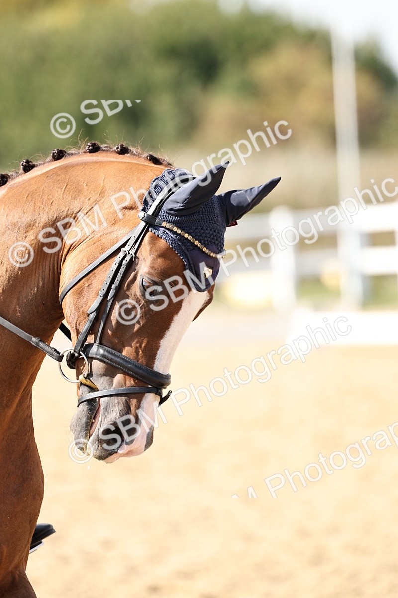 SBM_014932 - Class 7 - Medium 3