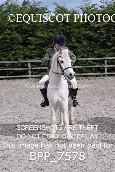 BPP_7578 - RING 1  (RIDDEN HORSES / IN HAND / VETERAN ETC)