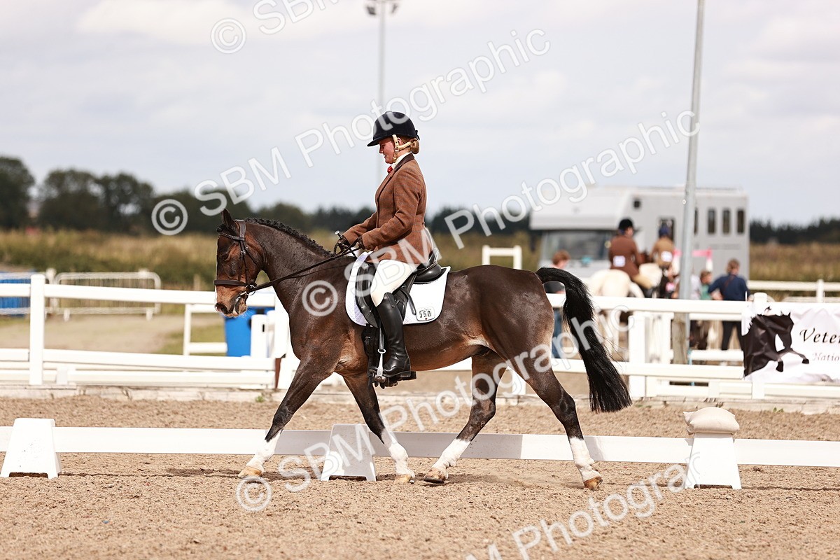 SBM_06225 - Class 37 - Novice 5