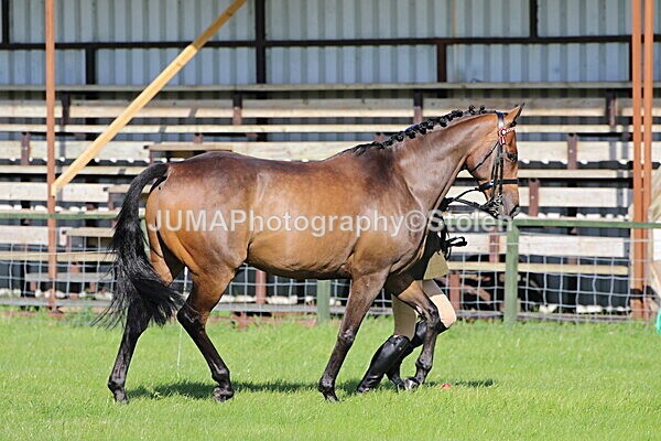 SIAL5722 - Ring 1 & 3