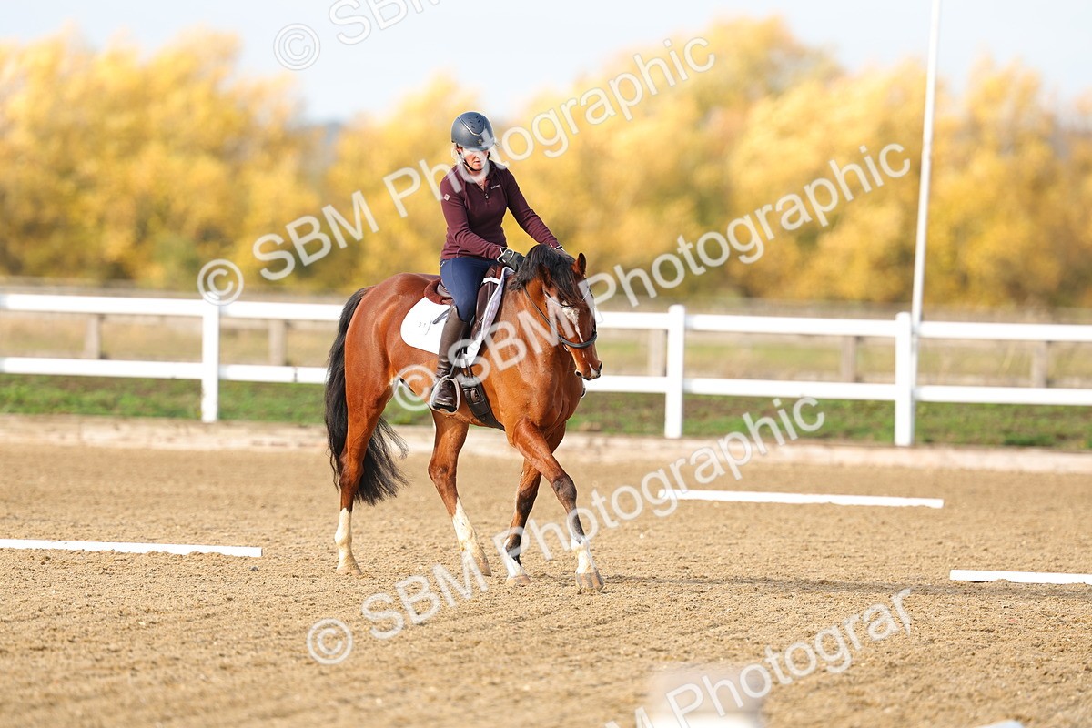 SBM_001138 - Class 13-4-9 - DR P3 CT P3 70cm CT PYO
