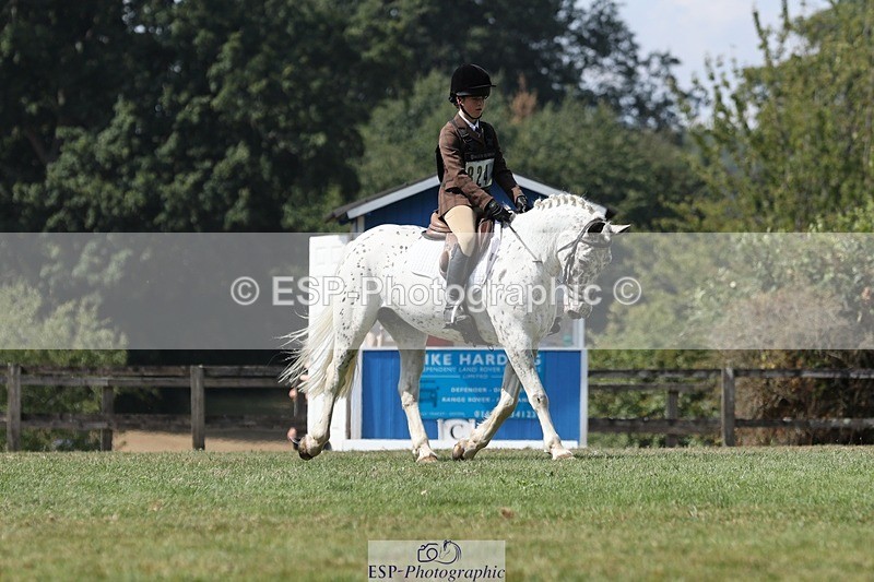 250823A-131837-31273 - Arena D