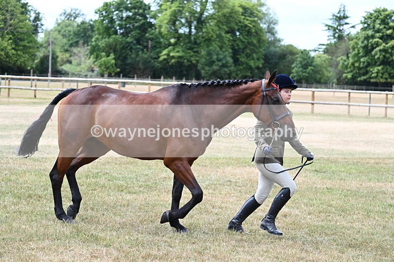 WJ7_1906 - Class 4a Prettiest Mare 14.2hh and over hand