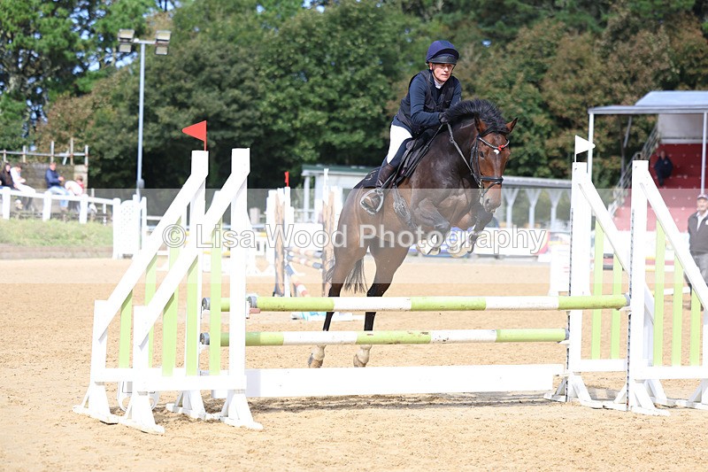 3E7A9153 - Class 9: Senior British Novice/90cm open