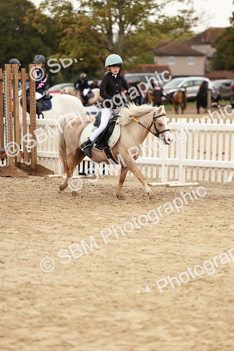SBM_57918 - J11 - Junior Pony 50cm Championship