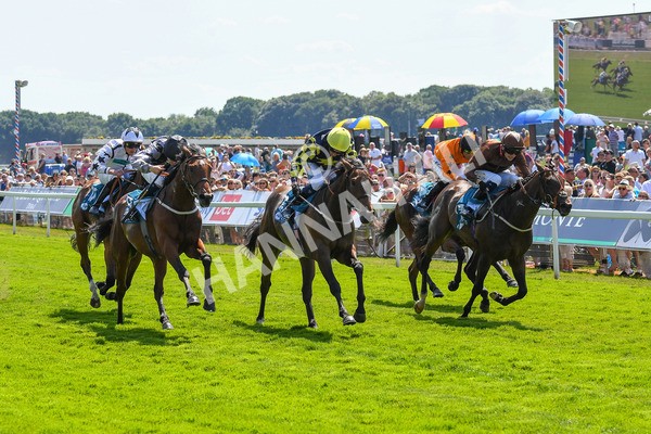 160623-Race 2-Celestial Flight-0298 - Race 2 2.25pm SKF Rous Selling Stakes