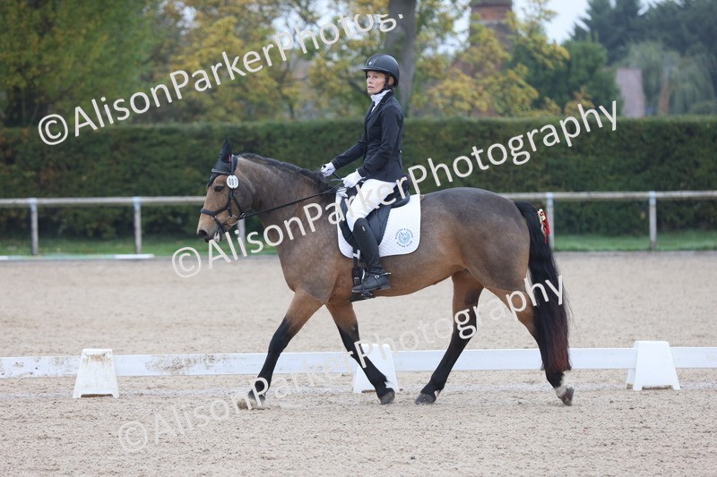 20251012-0194 - Class 1 - Prelim 5