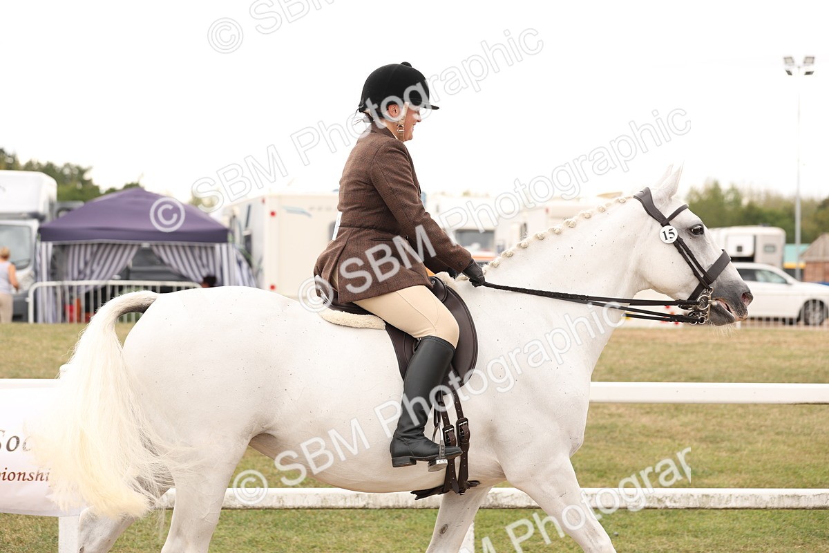 SBM_16459 - Class 212 - Ridden Hunter - Small