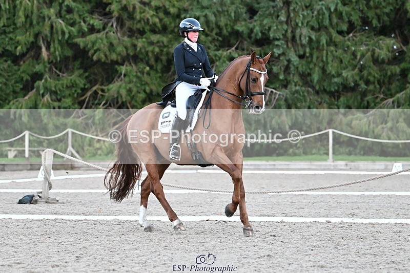 231110-164021-02721 - Cls 14 FEI Grand Prix