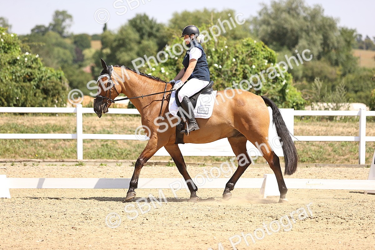 SBM_003985 - Intro 2