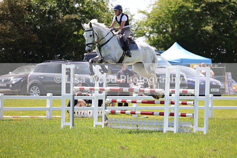 3E7A1248 - Class 12: Senior Foxhunter/1.20 open