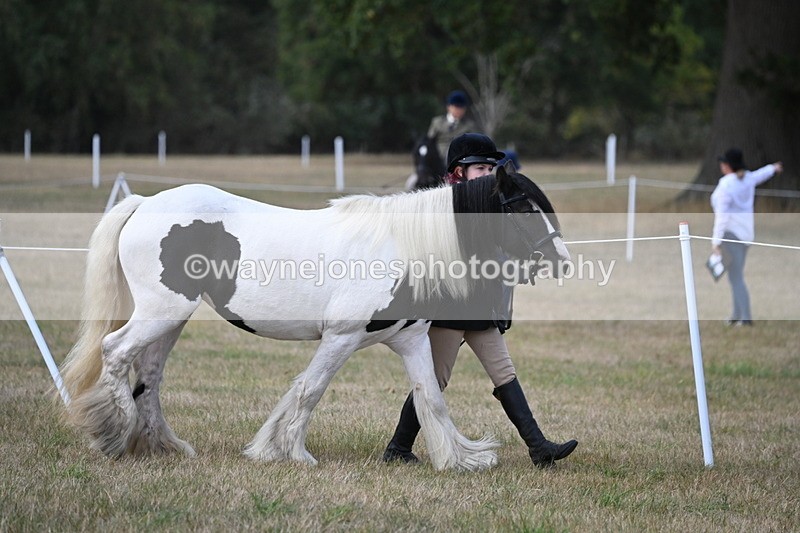 WJ6_6402 - Class 20 In-hand Cob