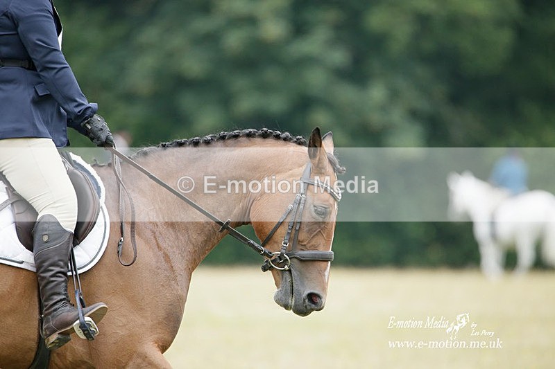 BVRC 030721 112 - Bourne Valley Riding Club Dressage 03/07/21