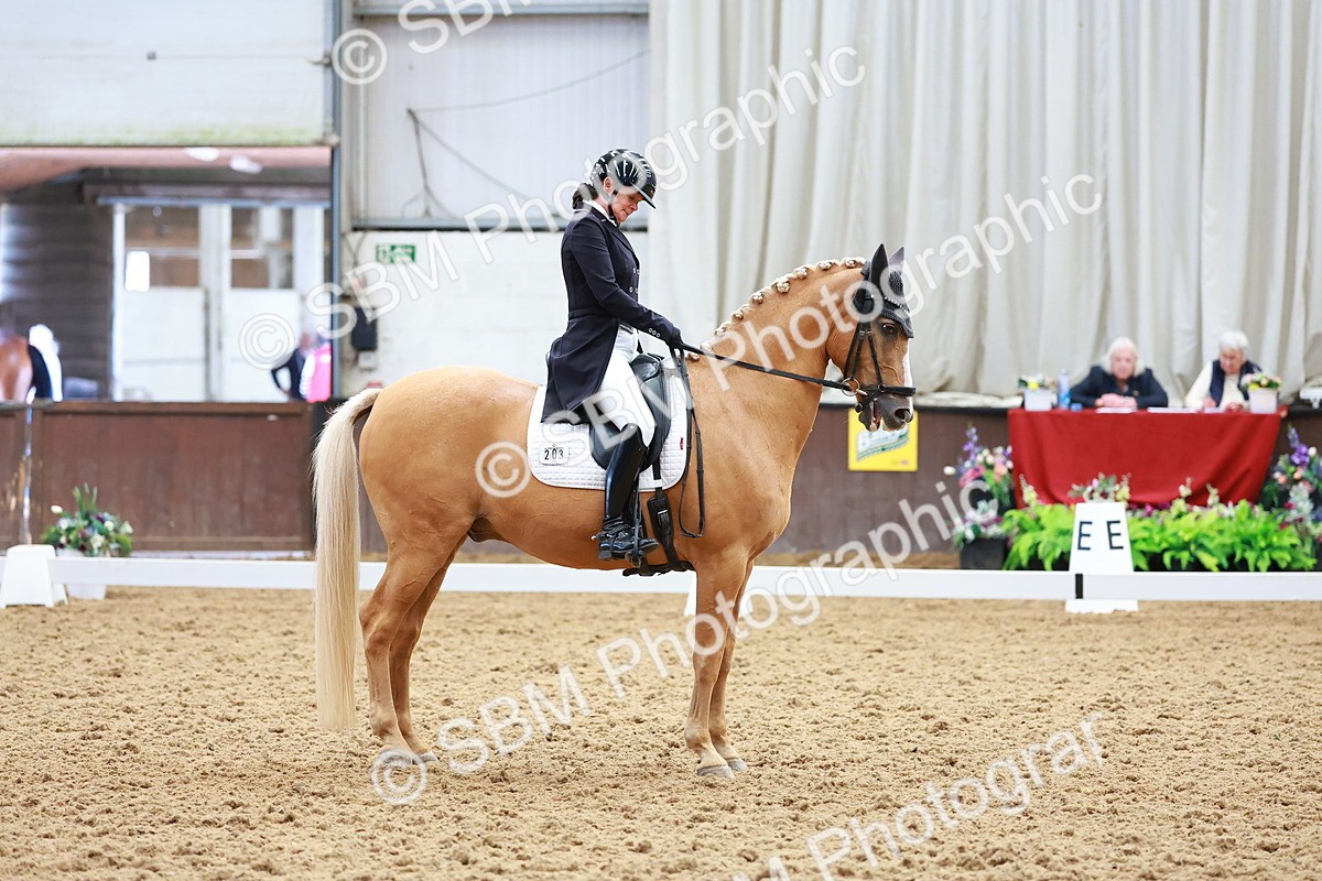 SBM_021269 - Class 25 - FEI PSG Bronze