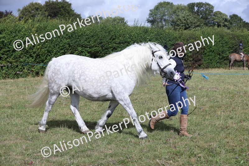 20250831-1753 - Class 22 - Mountain and Moorland Inhand