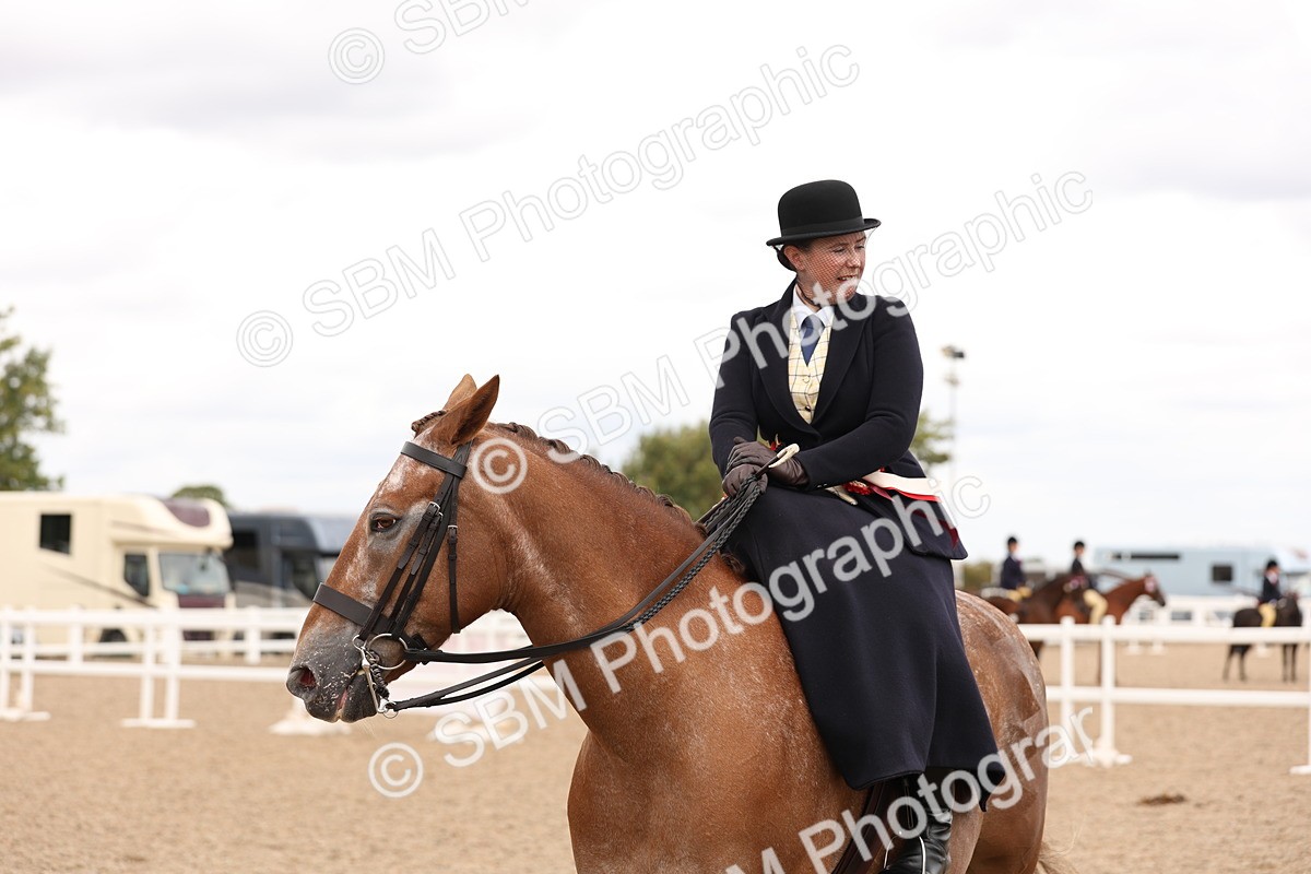 SBM_16443 - Class 211 - Best Side Saddle Horse - Pony