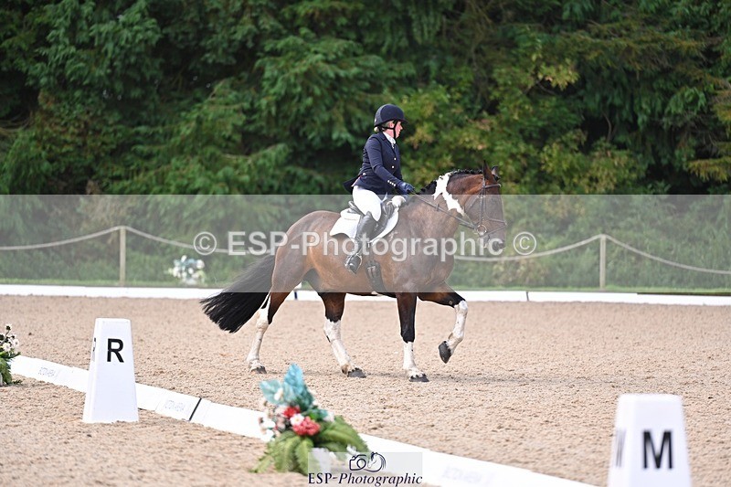 240809-102812-00202 - 112-Caroline.Hutchens-Clogorrow's.Socky